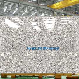 Đá Hoa Cương Granite G053